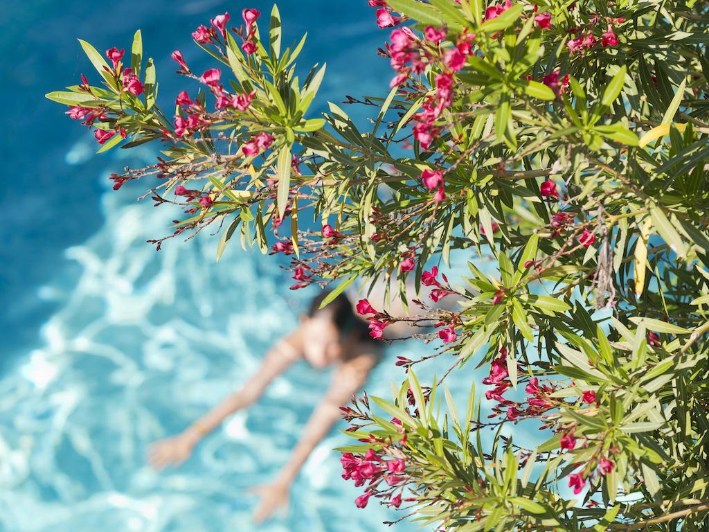 Le Val Duchesse Hotel & Appartements Cagnes-sur-Mer Kültér fotó